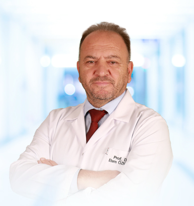 Prof. Dr. Etem Özkaya